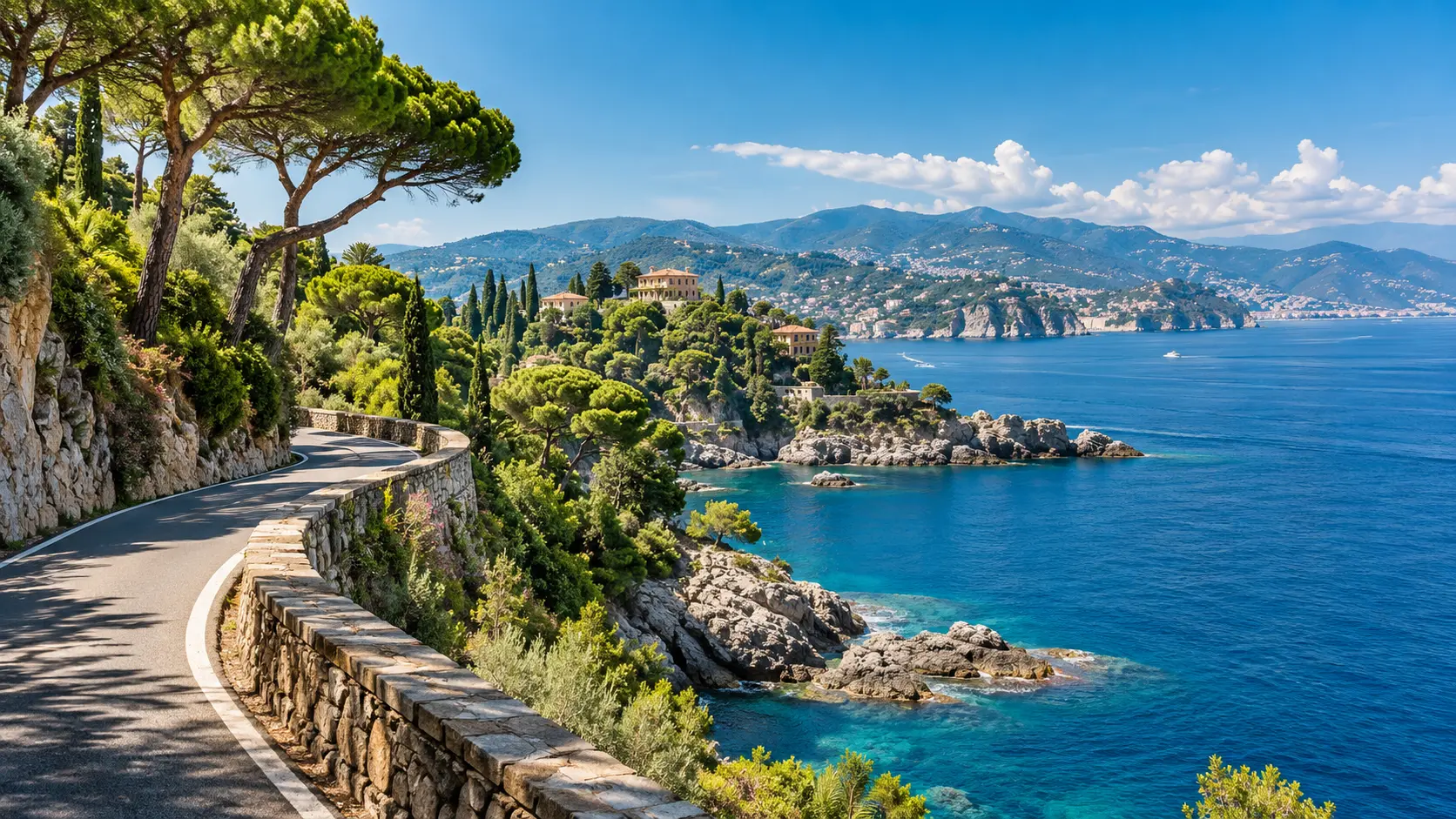 A winding coastal road above the Mediterranean, framed by umbrella pines